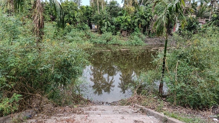 Article_Subhas Mukhopadhyay_12.2.2025