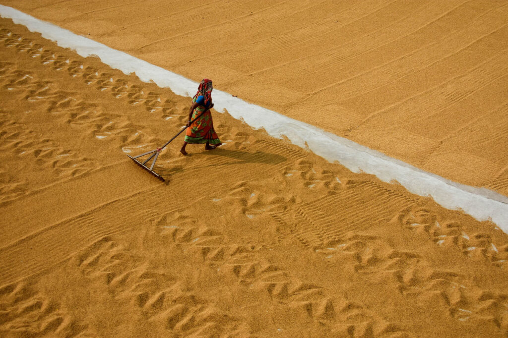 Photo Story_Rice Mill_Debarchan Chatterjee (10)