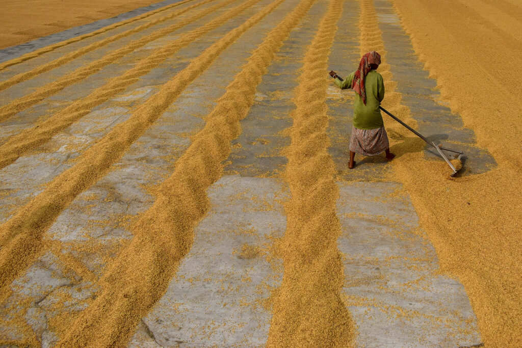 Photo Story_Rice Mill_Debarchan Chatterjee (7)