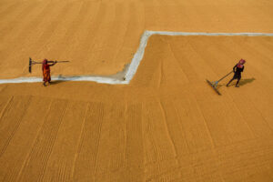 Photo Story_Rice Mill_Debarchan Chatterjee cover