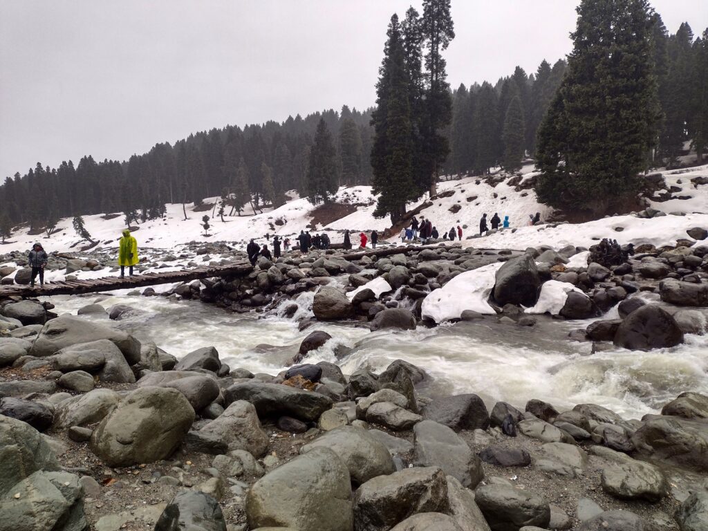 Sumedha Chattopadhyay_Doodhpathri_4.2 (10)