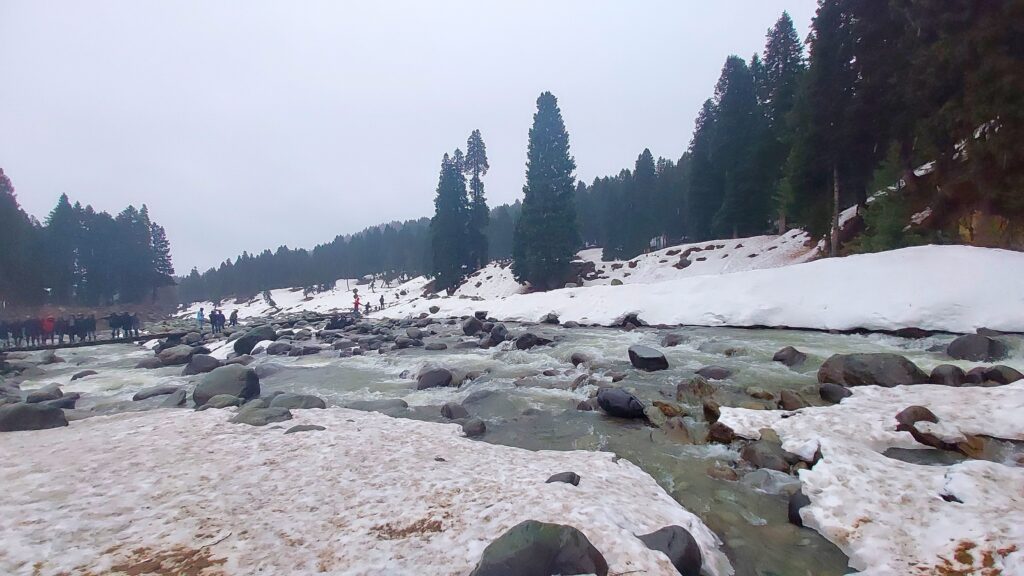 Sumedha Chattopadhyay_Doodhpathri_4.2 (2)