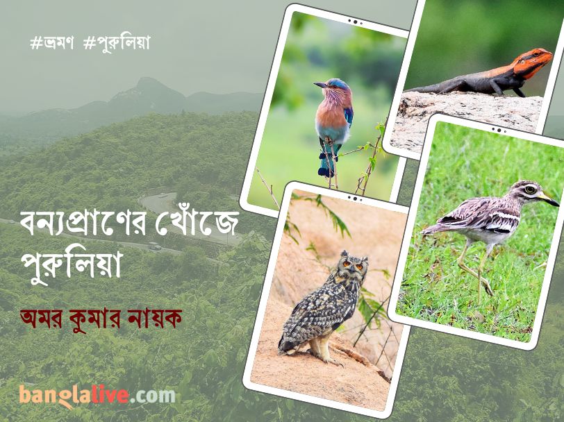 Travelogue on Purulia Wildlife cover