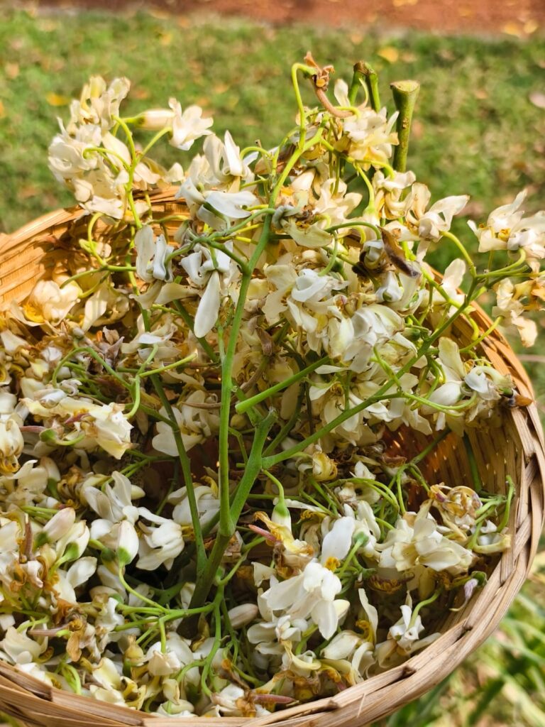 Village food column on spring cuisine (2)