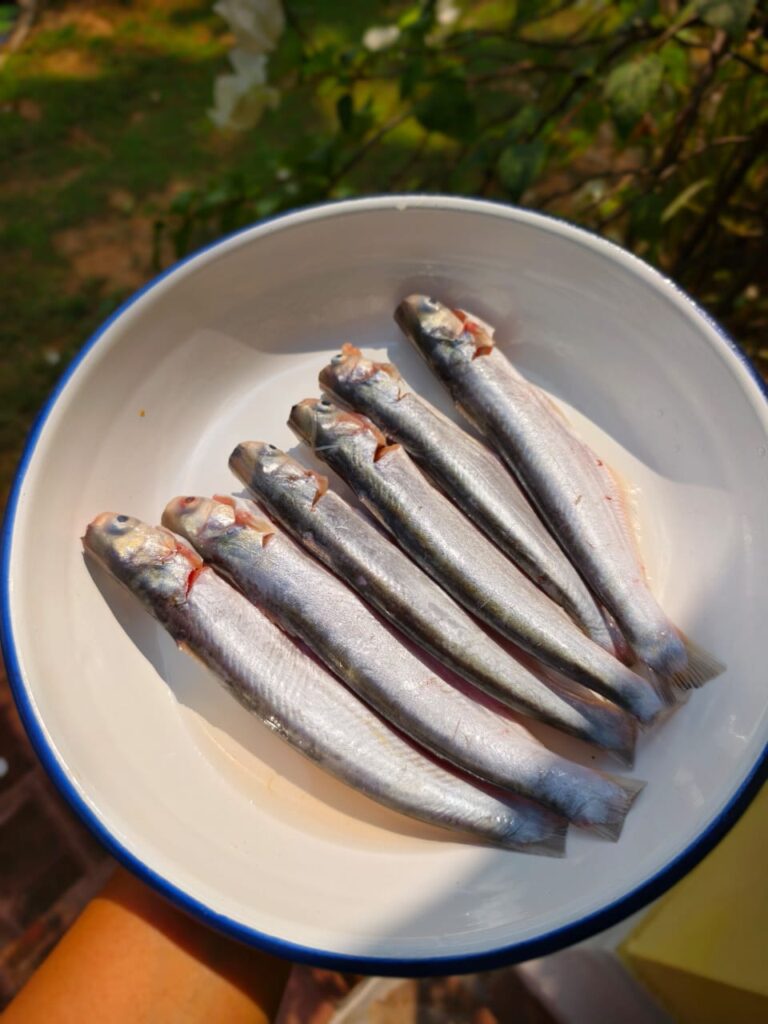 Chaitra Season Food article (4)