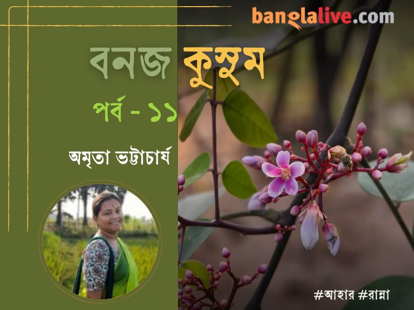 Chaitra season food article cover