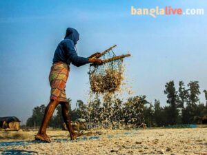 Dry Fish Photo Story Cover