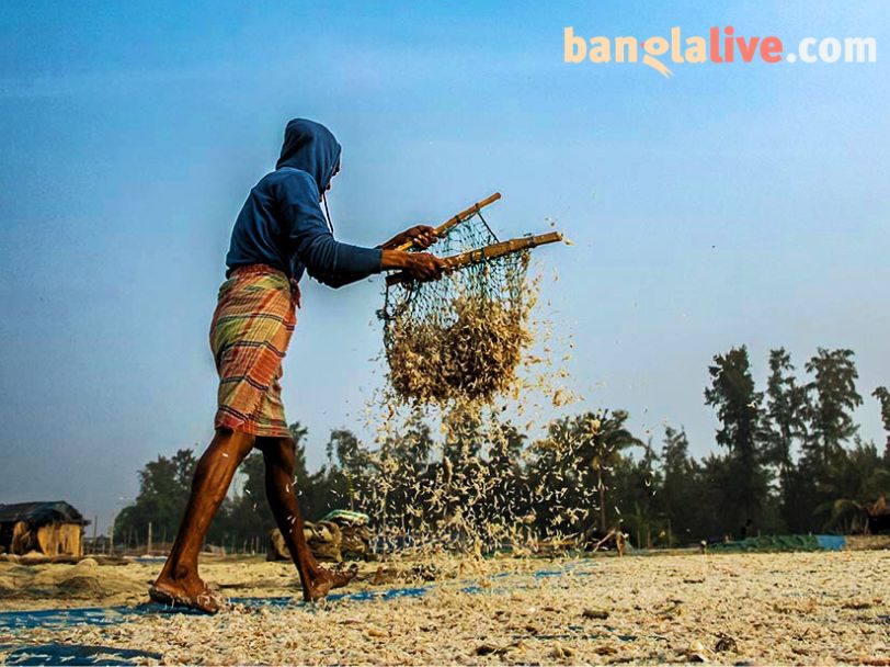 Dry Fish Photo Story Cover