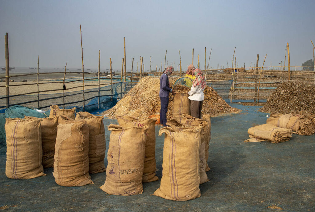 Dry Fish Photo Story_Nirmalya Chatterjee (10)