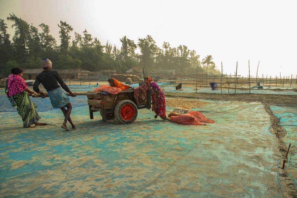 Dry Fish Photo Story_Nirmalya Chatterjee (3)