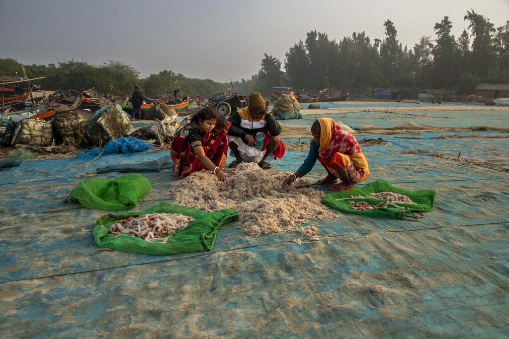 Dry Fish Photo Story_Nirmalya Chatterjee (4)