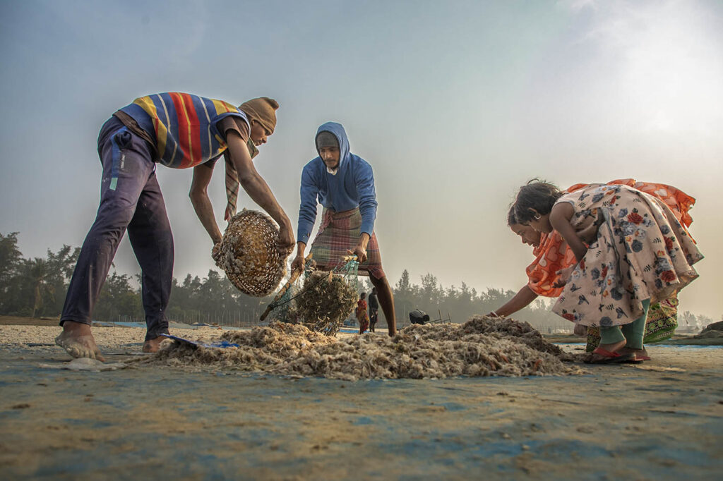 Dry Fish Photo Story_Nirmalya Chatterjee (5)