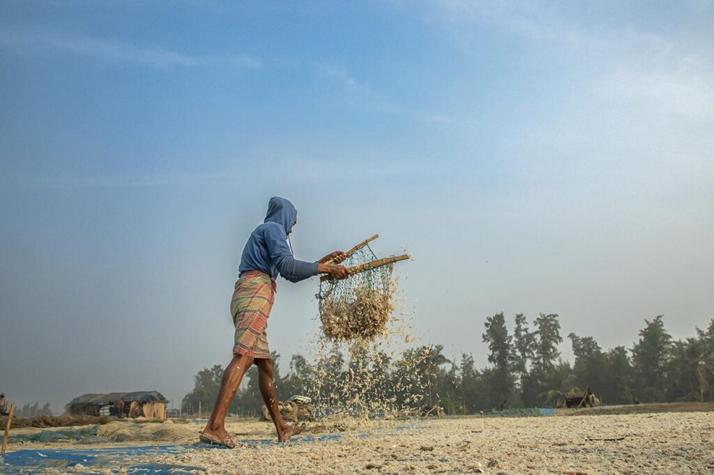 Dry Fish Photo Story_Nirmalya Chatterjee (6)