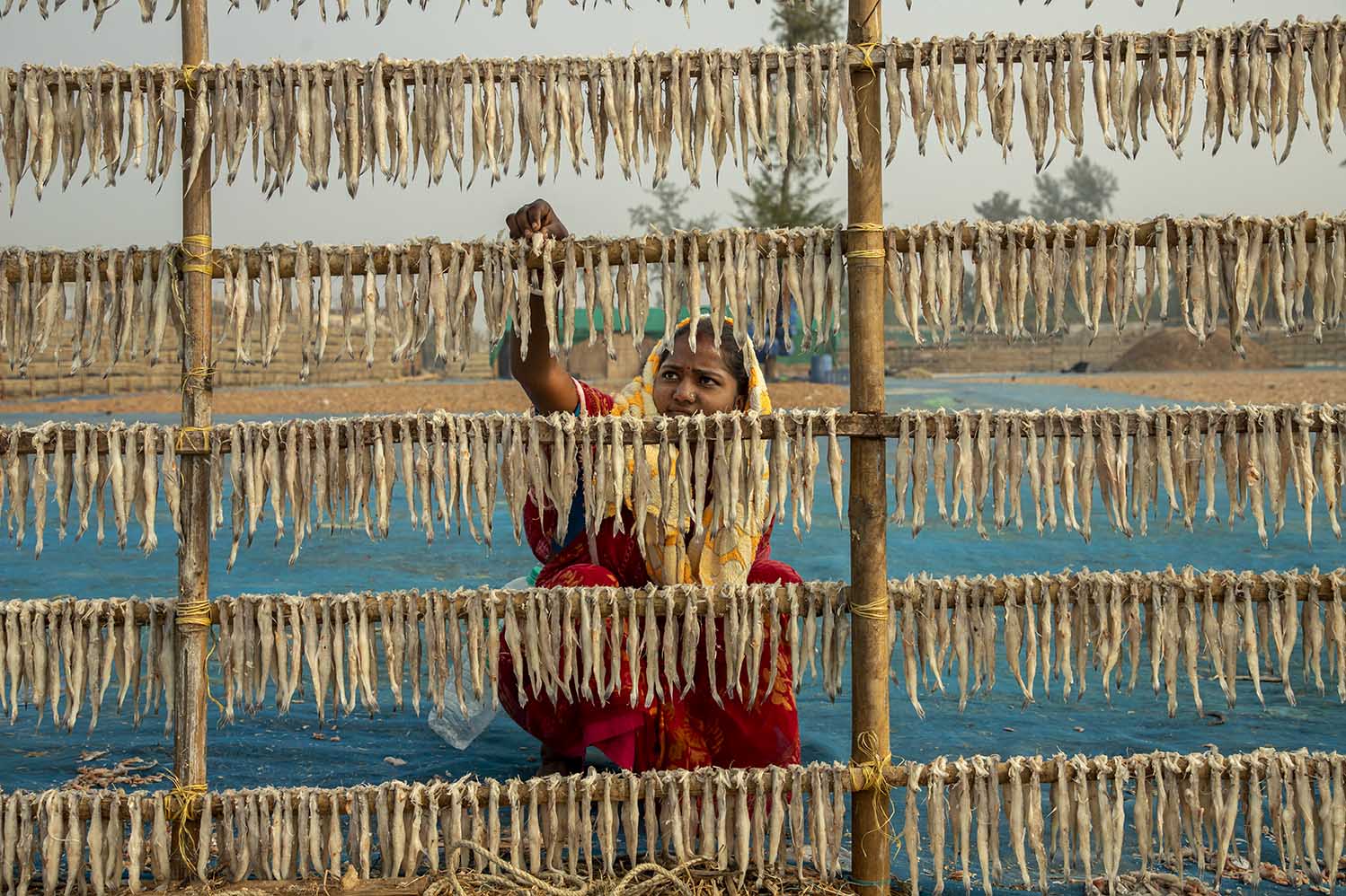 Dry Fish Photo Story_Nirmalya Chatterjee (7)