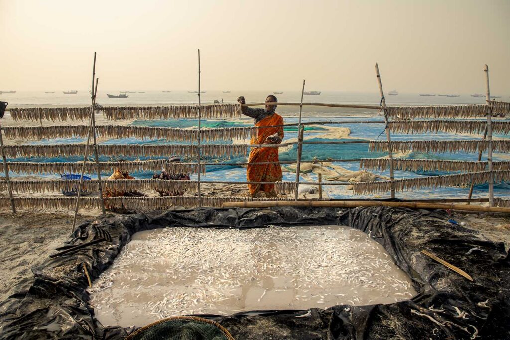 Dry Fish Photo Story_Nirmalya Chatterjee (8)