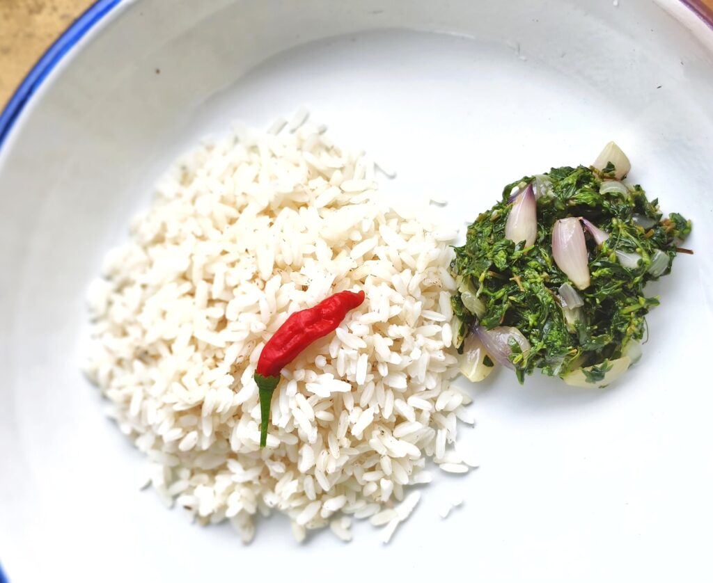 Summer food article by Amrita Bhattacharya (3)