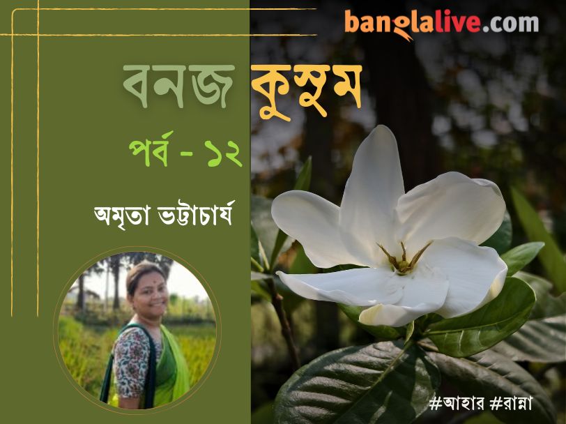 Summer food article by Amrita Bhattacharya cover