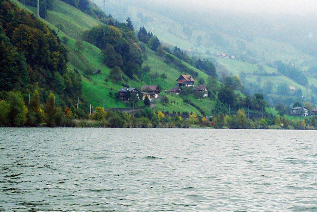 Monidipa Banerjee_ Switzerland_2.5 (2)