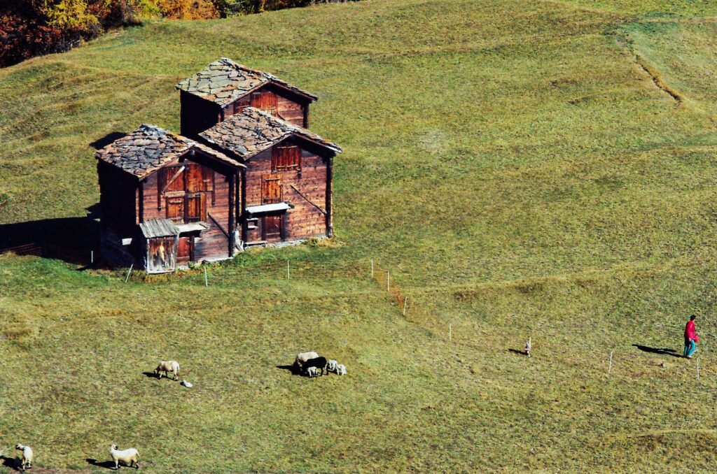 Monidipa Banerjee_ Switzerland_2.5 (6)