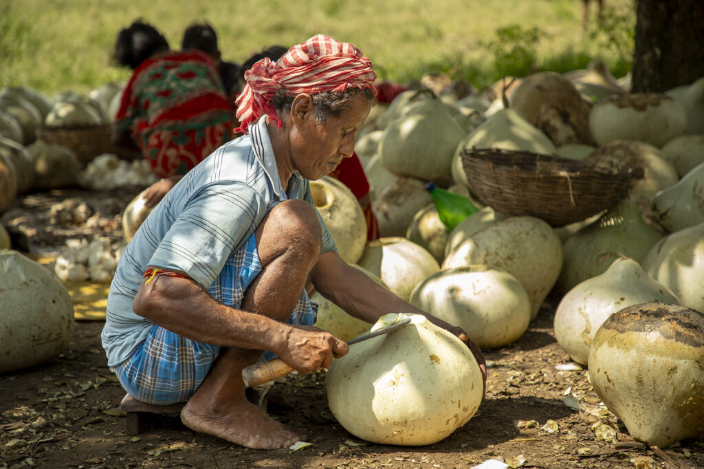 02_Calabash Gourd_Photostory_Nirmalya Chatterjee_6.6.2025_SL