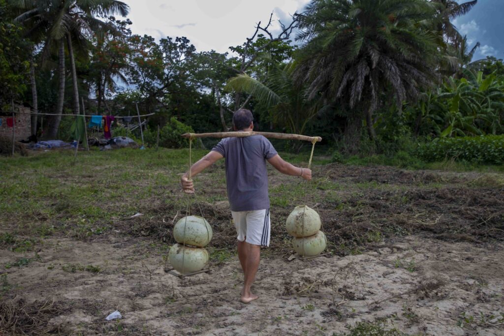 05_Calabash Gourd_Photostory_Nirmalya Chatterjee_6.6.2025_SL