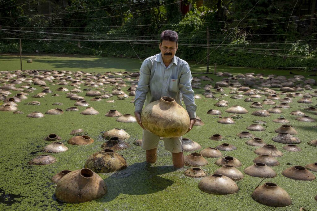07_Calabash Gourd_Photostory_Nirmalya Chatterjee_6.6.2025_SL