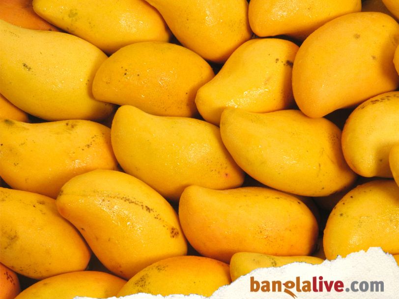 Mango Day