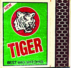 Tiger