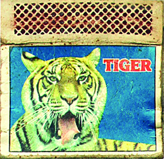 Tiger