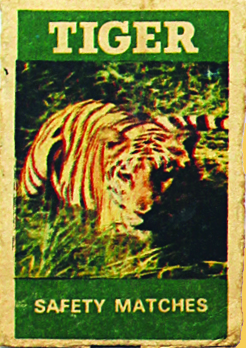 Tiger