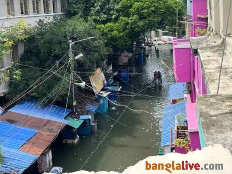 College Street Pankaj  Chakraborty