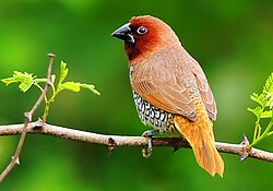 Pre Winter Food Culture