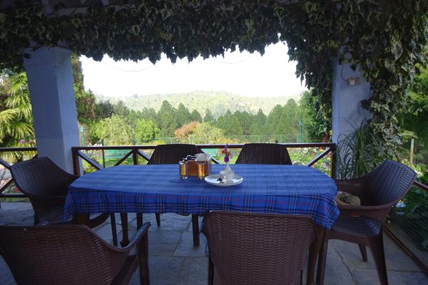 Lunch at Balcony, Holm Farm Heritage resort, Ranikhet